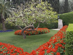 Сады Бахаи. Израиль.